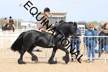 TTF-1844