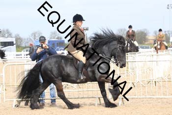 TTF-1854