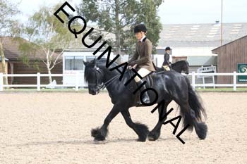 TTF-1870