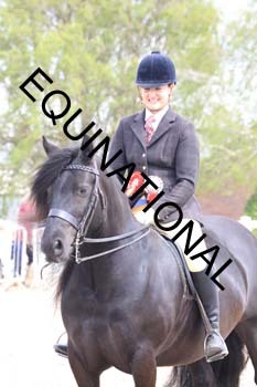 TTF-1916
