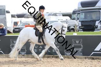 TTF-2028