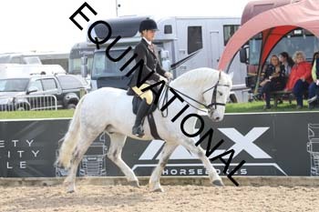 TTF-2045
