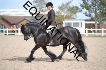 TTF-2144