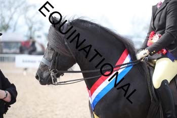 TTF-2225
