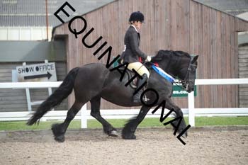 TTF-2233