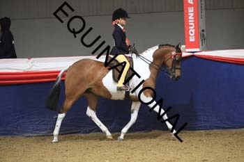 CDP-2546