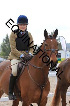 YUS-1309