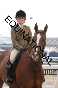 YUS-1313