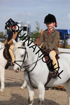 YUS-1903