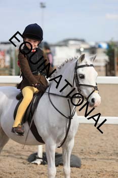 YUS-1931