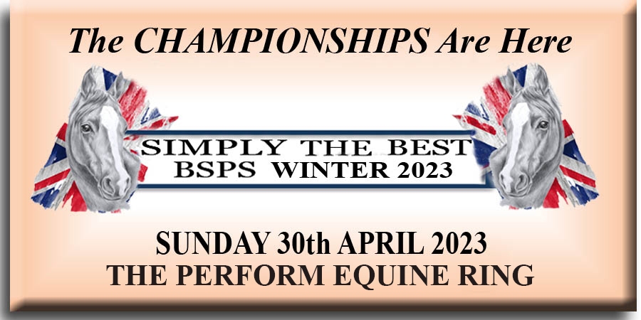 Sunday-THE-PERFORM-EQUINE-RING