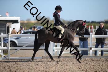 MNL-1238