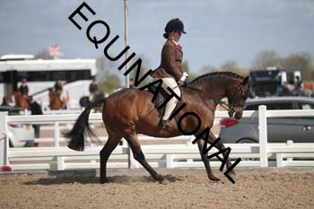 MNL-1569