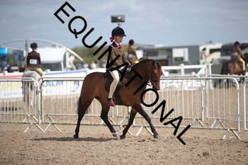 MNL-1712