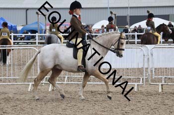 MNL-1797
