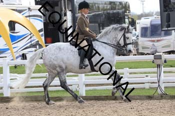 HHJ-1909