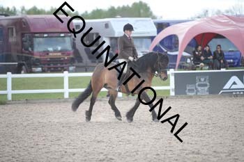 HHJ-1961