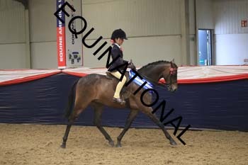 ARX-2588