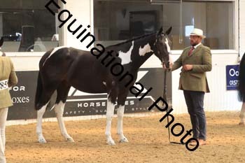 WPV-1442 WPV-1442