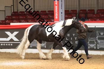 WPV-1676 WPV-1676
