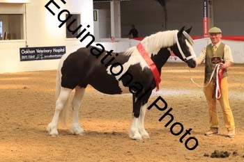 WPV-1744