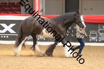WPV-1778