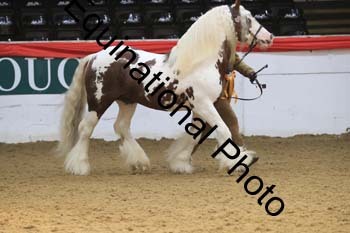WPV-1913