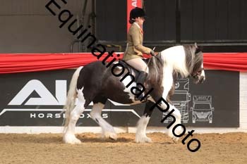 WPV-2001 WPV-2001