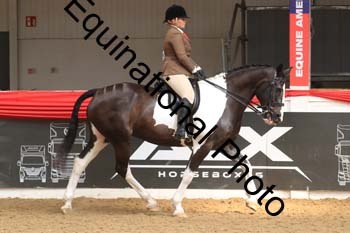 WPV-2003 WPV-2003