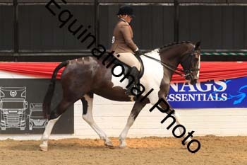WPV-2004 WPV-2004