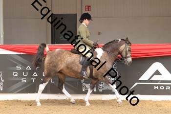 WPV-2015 WPV-2015
