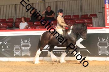WPV-2021 WPV-2021