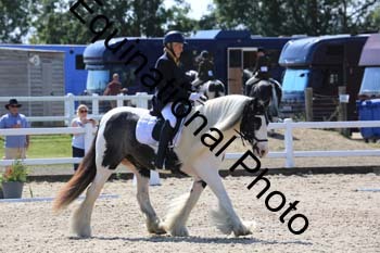 ABZ-1169