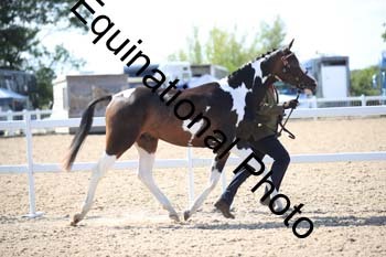 YTD-2425