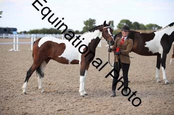YTD-2470