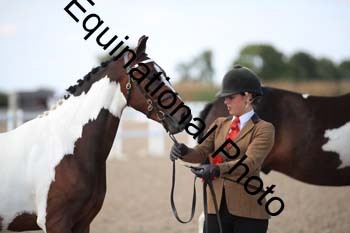 YTD-2475