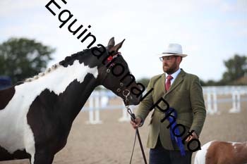YTD-2480