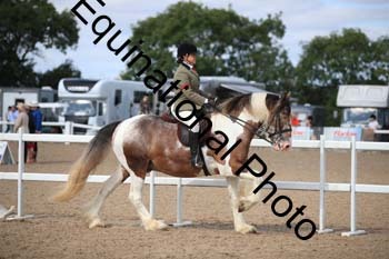 FQN-1190