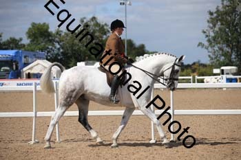 FQN-1407