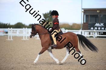 FQN-1428