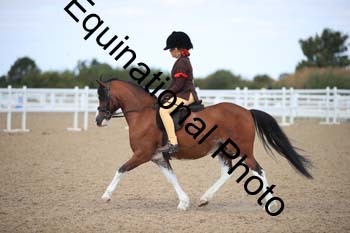 FQN-1429