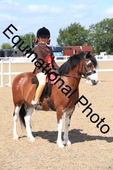 FQN-1434