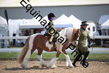 FQN-1481