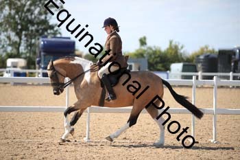FQN-1938