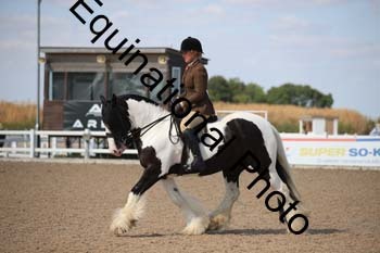 FQN-2003