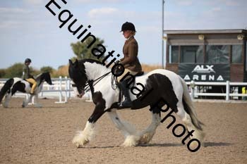FQN-2004