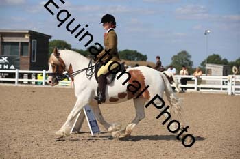 FQN-2011