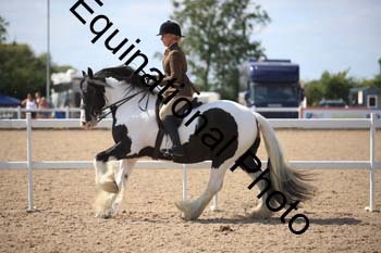 FQN-2013