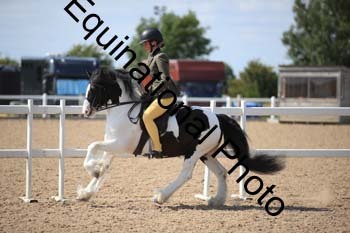 FQN-2015