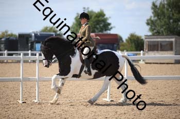 FQN-2019